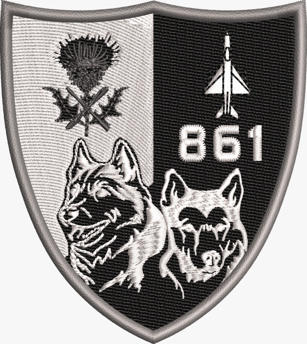 EMBLEMA ESCADRILA 861
